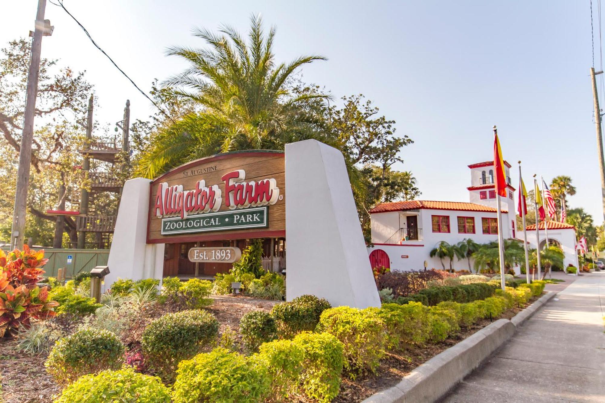 סיינט אגוסטין Ocean Village Club J14 מראה חיצוני תמונה